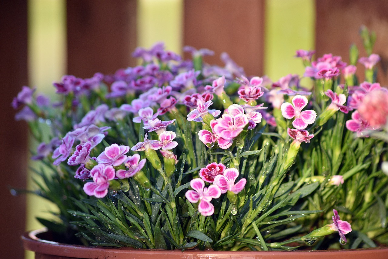 Voici Comment Disposer Des Pots Sur Une Terrasse